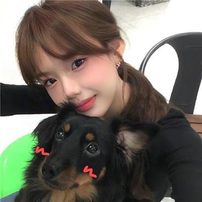 不老骑士：欧兜迈环台日记